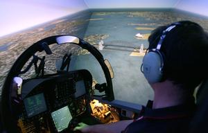 An industry representative is requested for the SEWG.
